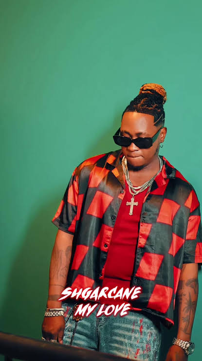 Beenie Gunter by Sugar Cane My Love (Official Lyrics Video)